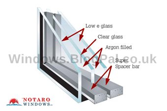 Mold on wooden windows
