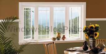 Bay windows home